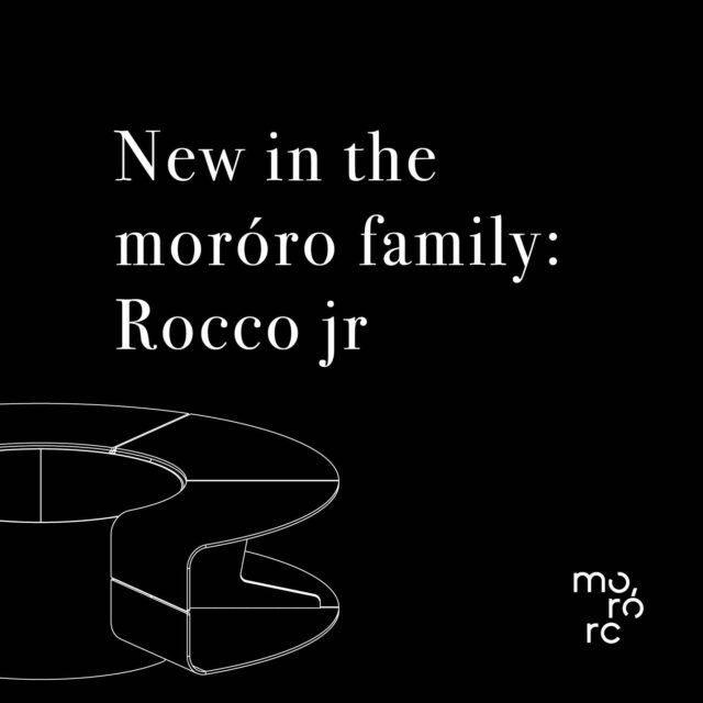 News Item Rocco Jr